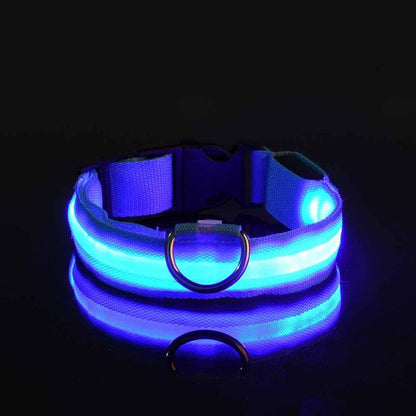 Miro LED Hondenhalsband Voor Avondwandelingen