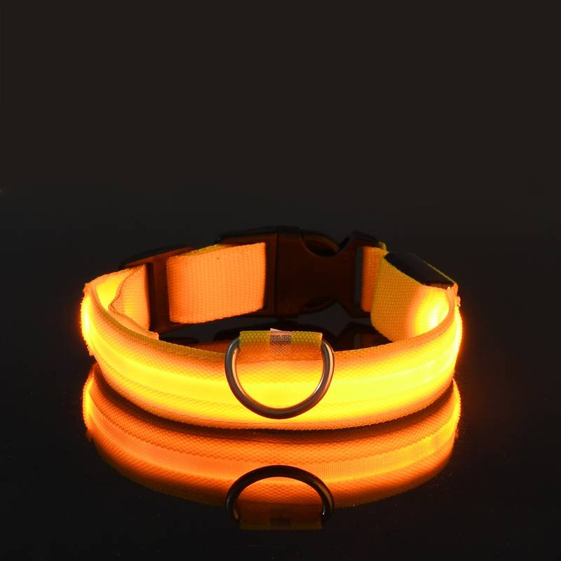 Miro LED Hondenhalsband Voor Avondwandelingen