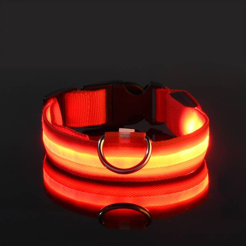 Miro LED Hondenhalsband Voor Avondwandelingen