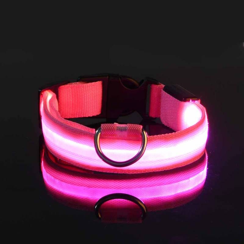 Miro LED Hondenhalsband Voor Avondwandelingen