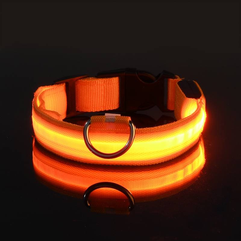 Miro LED Hondenhalsband Voor Avondwandelingen