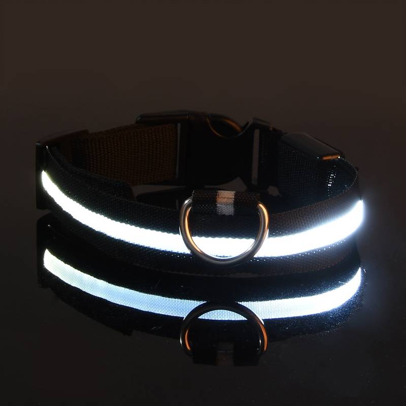 Miro LED Hondenhalsband Voor Avondwandelingen