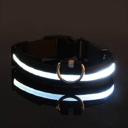 Miro LED Hondenhalsband Voor Avondwandelingen