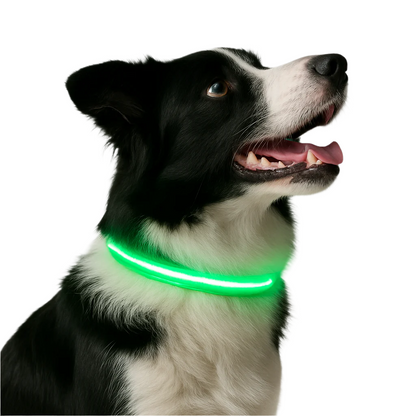 Miro | LED Hondenhalsband Voor Avondwandelingen