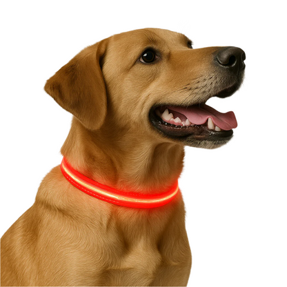 Miro | LED Hondenhalsband Voor Avondwandelingen