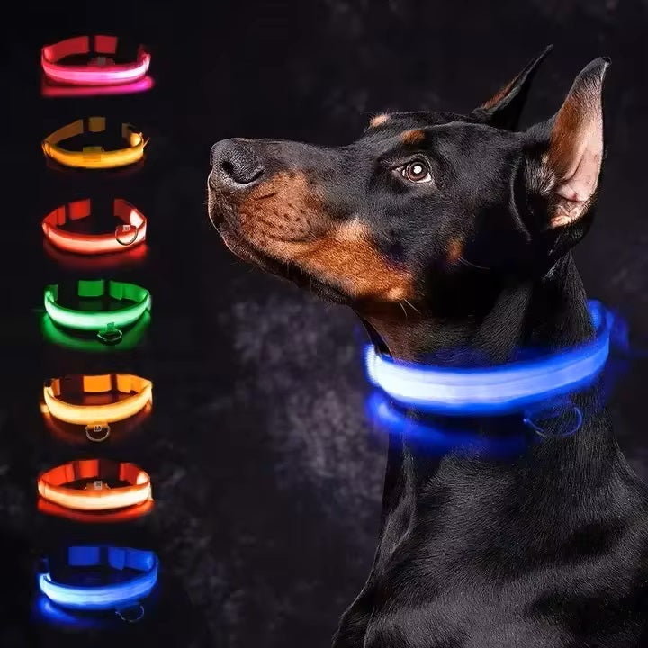 Miro LED Hondenhalsband Voor Avondwandelingen