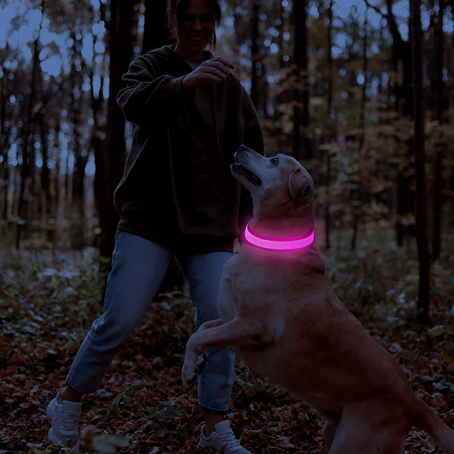 Miro LED Hondenhalsband Voor Avondwandelingen