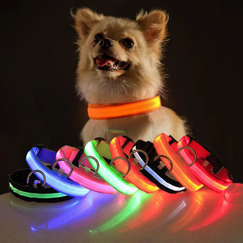 Miro LED Hondenhalsband Voor Avondwandelingen
