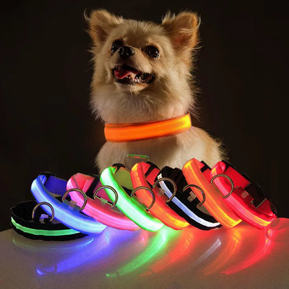 Miro LED Hondenhalsband Voor Avondwandelingen