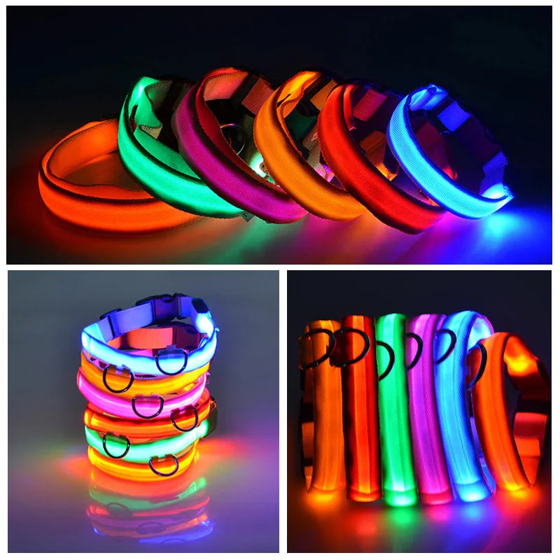 Miro LED Hondenhalsband Voor Avondwandelingen