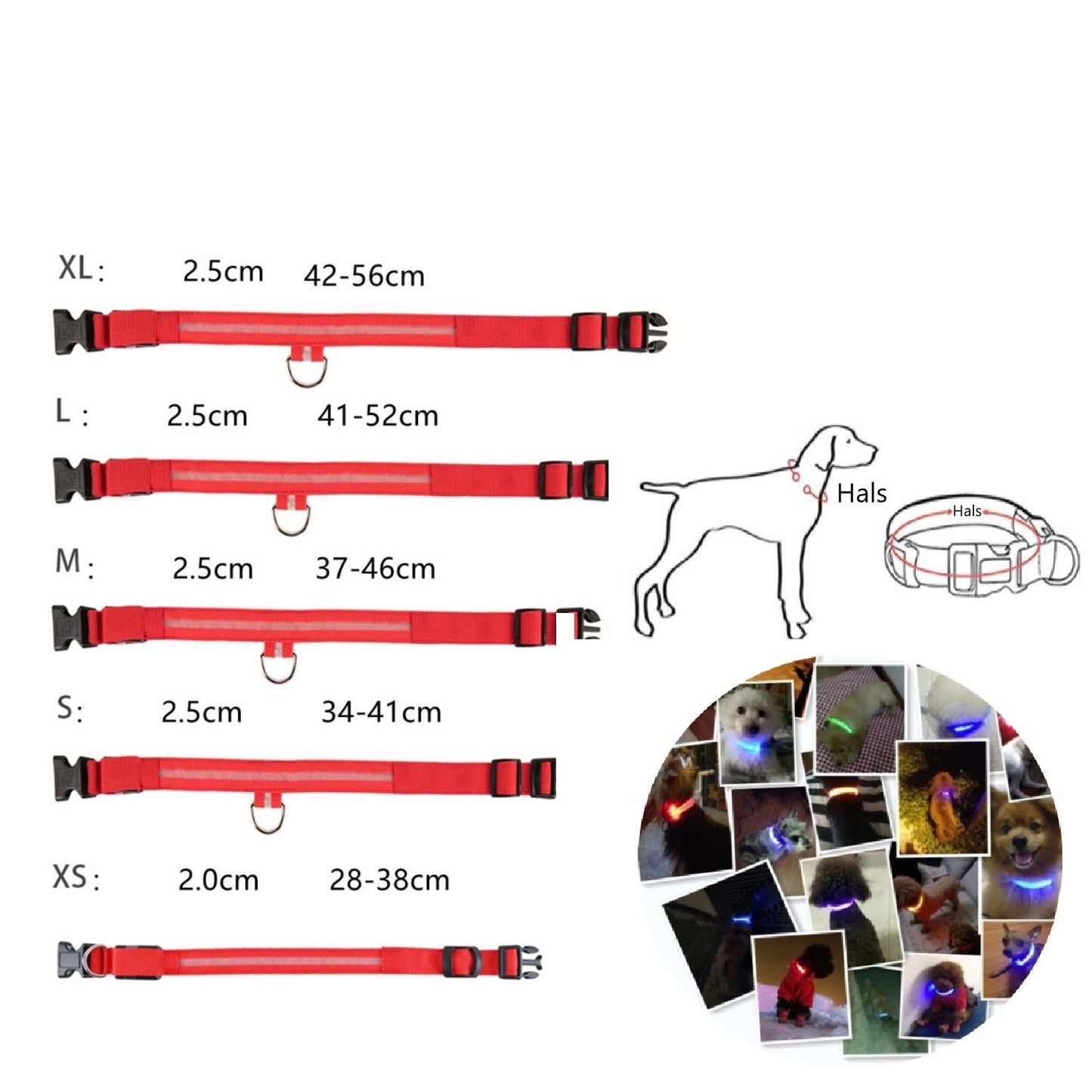 Miro LED Hondenhalsband Voor Avondwandelingen