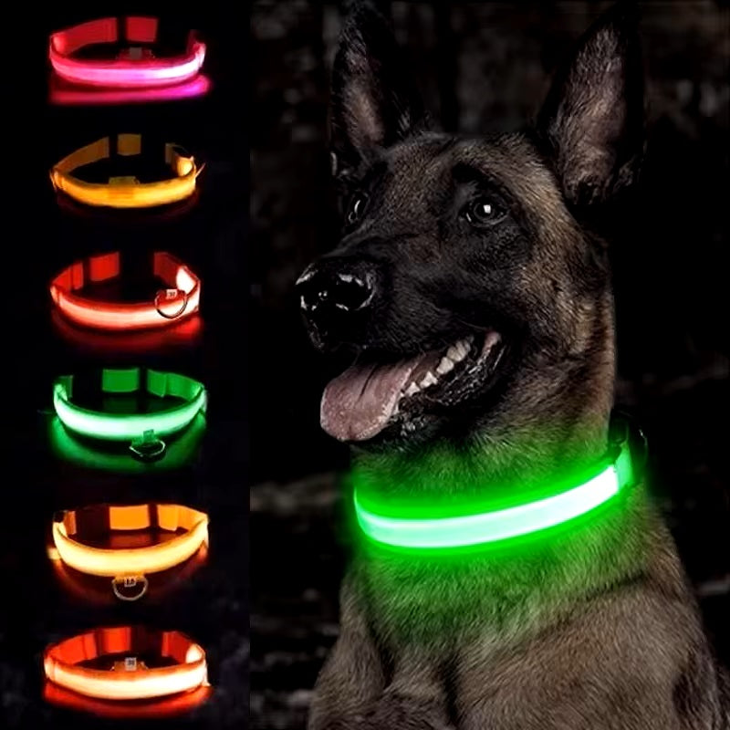 Miro LED Hondenhalsband Voor Avondwandelingen