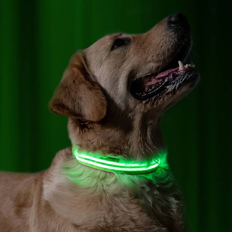 Miro LED Hondenhalsband Voor Avondwandelingen
