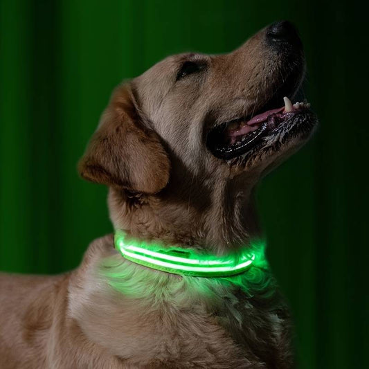 Miro LED Hondenhalsband Voor Avondwandelingen
