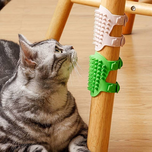 Miso Kattenborstel en meubelbeschermer