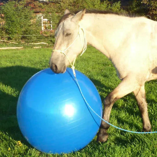 Nala | Paarden Speelgoed Spelbal Voor Krachtopbouw-2