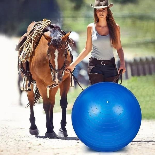 Nala | Paarden Speelgoed Spelbal Voor Krachtopbouw-1