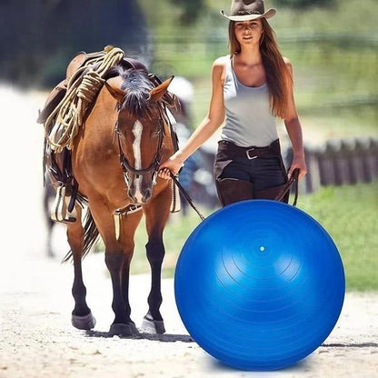 Nala | Paarden Speelgoed Spelbal Voor Krachtopbouw-1