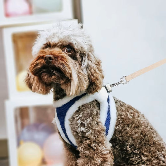 Nina | Hondentuig voor Comfortabele Wandeling-1