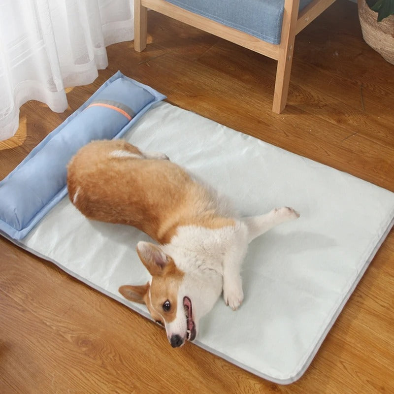 Nora | Hondenbed voor Comfortabele Slaap-2