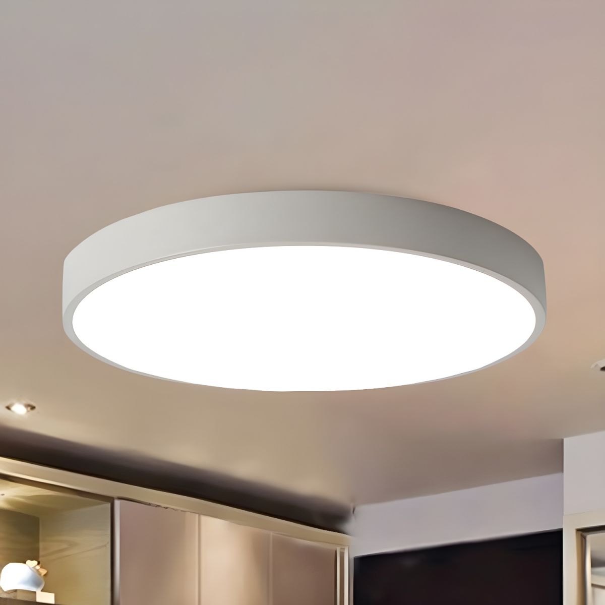 Plafondlamp Met LED Modern Metaal Ontwerp | Ovinra