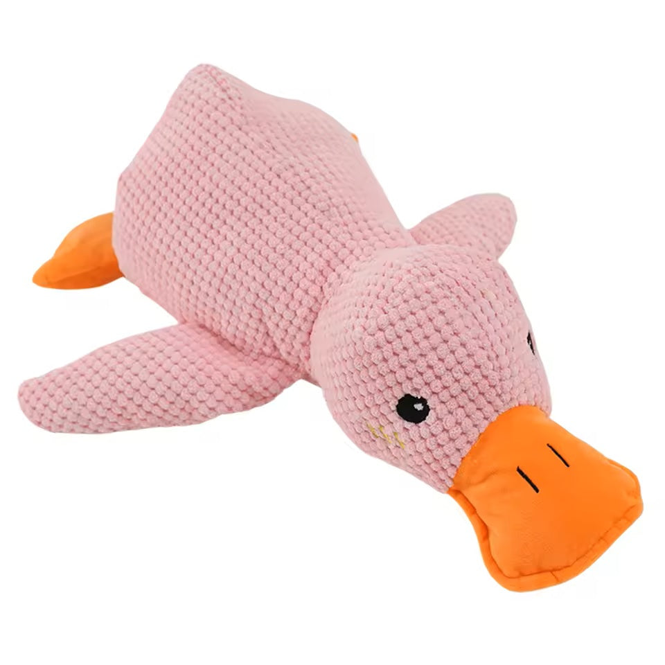 Quincy | Hondenspeelgoed met geluid voor honden en puppy's