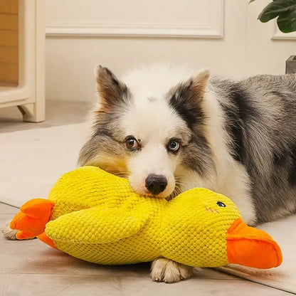 Quincy | Hondenspeelgoed met geluid voor honden en puppy's
