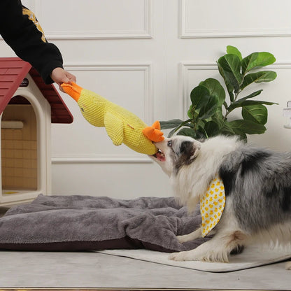 Quincy | Hondenspeelgoed met geluid voor honden en puppy's