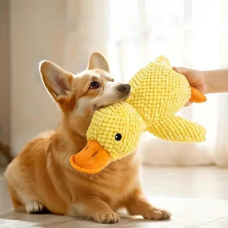 Quincy | Hondenspeelgoed met geluid voor honden en puppy's