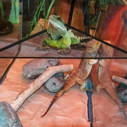Reepy | Reptielen hangmat met zuignappen – Netligplek voor terrarium en glasoppervlakken