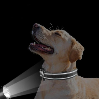 Reflecterende halsband met geïntegreerde AirTag houder | Altorra