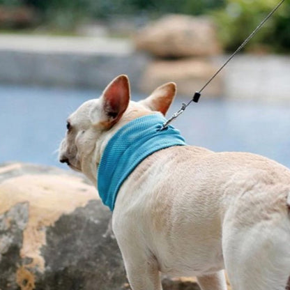Thor | Koelband Voor Honden Zomer-1