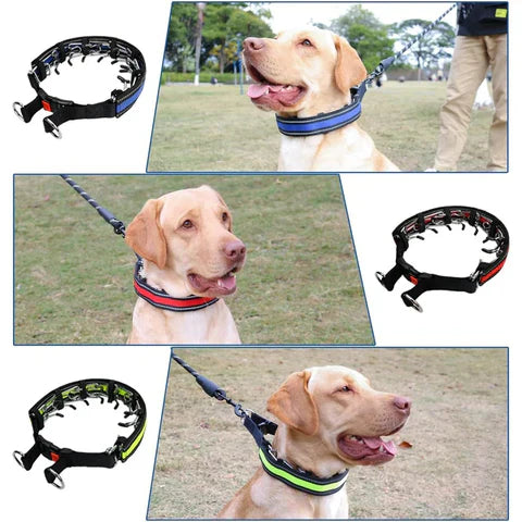 Trainingshalsband verstelbaar voor honden | Cody