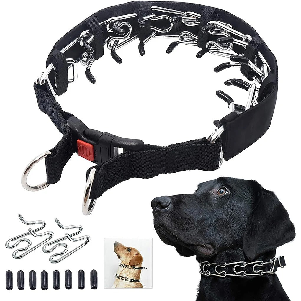 Trainingshalsband verstelbaar voor honden | Cody