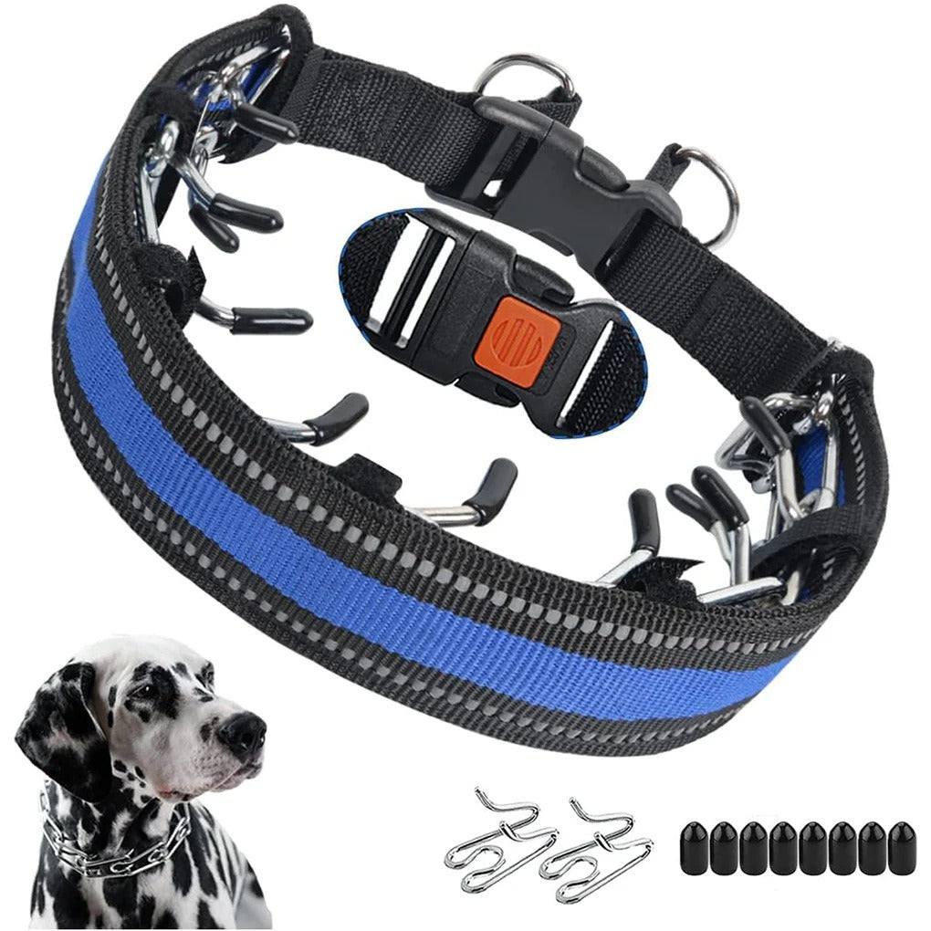 Trainingshalsband verstelbaar voor honden | Cody