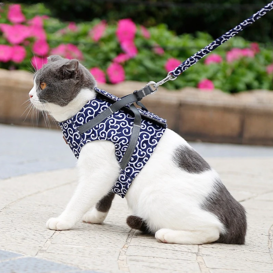 Verstelbaar kattentuigje voor buiten met ademend zomerdesign | Bella
