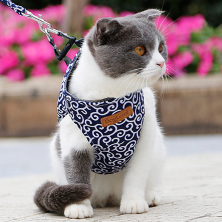 Verstelbaar kattentuigje voor buiten met ademend zomerdesign | Bella