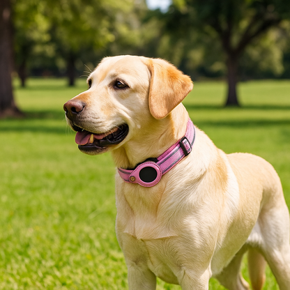 Verstelbare halsband met AirTag houder voor honden | Nuvin