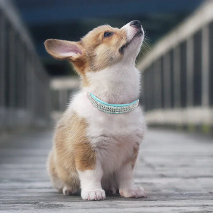 Yuki | Hondenhalsband met glinsterende details