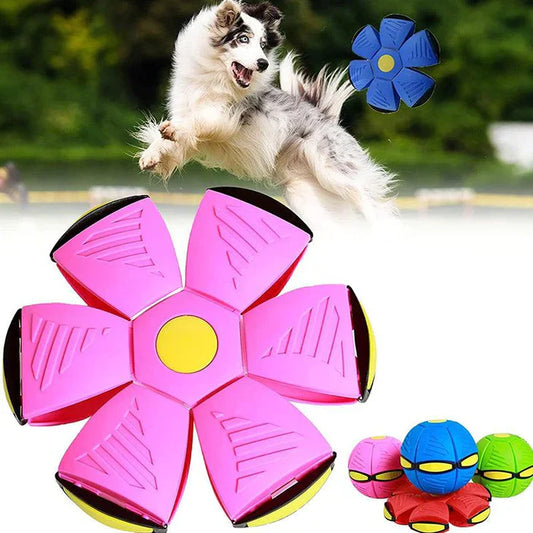Ziggy | Duurzame Frisbee Voor Honden-3