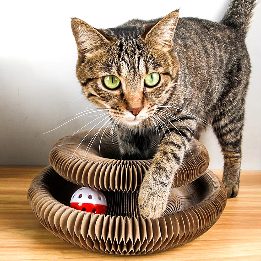 Zipp | Interactief kattenspeelgoed voor mentale en fysieke stimulatie