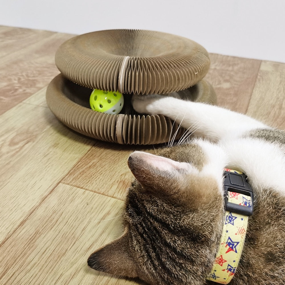 Zipp | Interactief kattenspeelgoed voor mentale en fysieke stimulatie