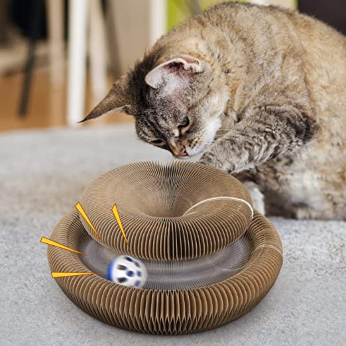 Zipp | Interactief kattenspeelgoed voor mentale en fysieke stimulatie