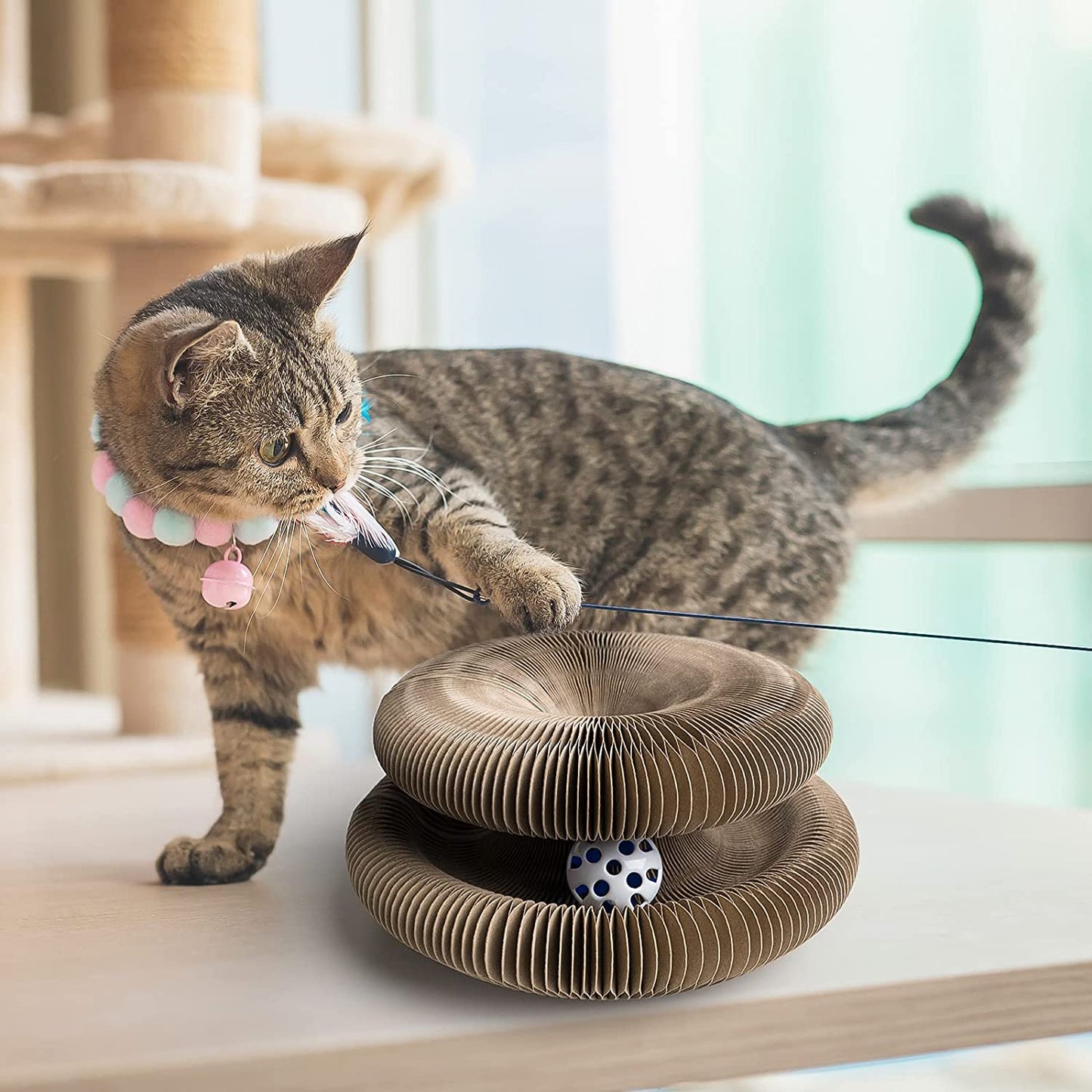 Zipp | Interactief kattenspeelgoed voor mentale en fysieke stimulatie
