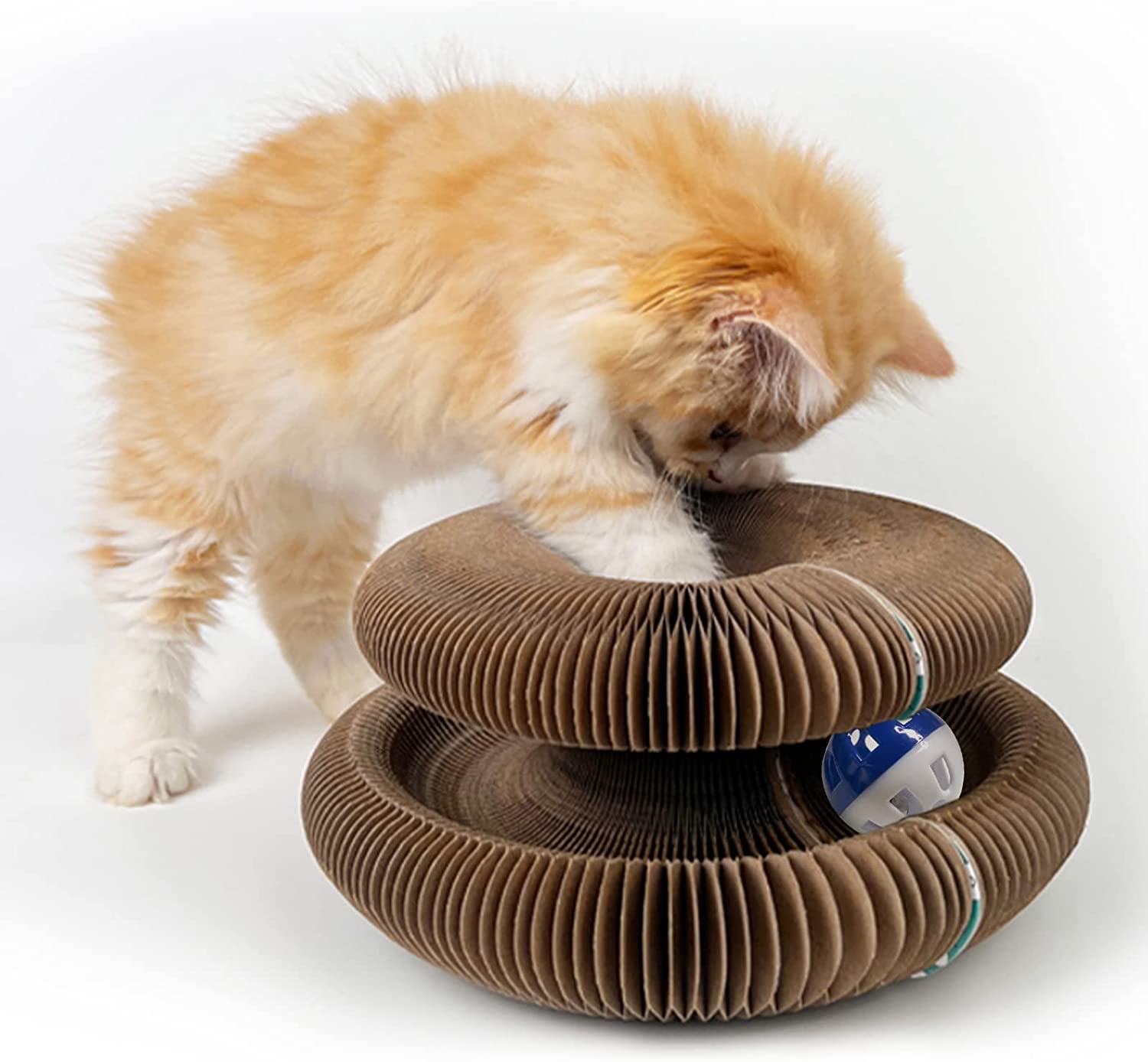 Zipp | Interactief kattenspeelgoed voor mentale en fysieke stimulatie